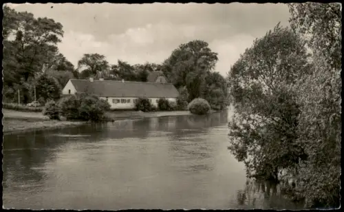 Jessen DDR AK Elster Blick zur Stadtmühle jetzt Kindergarten und FDJ-Heim 1959