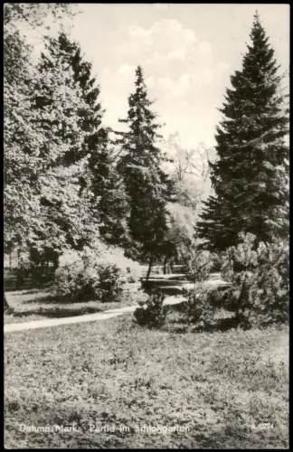 Ansichtskarte Dahme (Mark) DDR AK Partie im Schloßgarten 1963