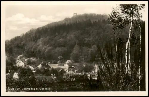Ansichtskarte Oschatz Umland-Ansicht Gruß vom Collmberg 1940