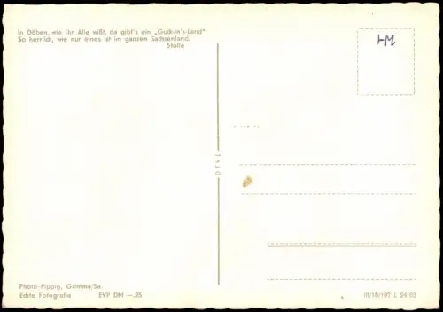 Ansichtskarte Döben-Grimma Panorama-Ansicht Fluss Partie 1963