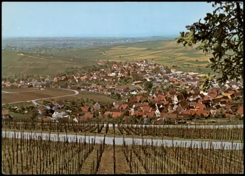 Ansichtskarte Pfaffenweiler Blick vom Weinberg auf die Stadt 1978