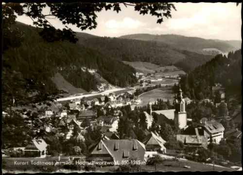 Ansichtskarte Todtmoos Stadtpartie 1966