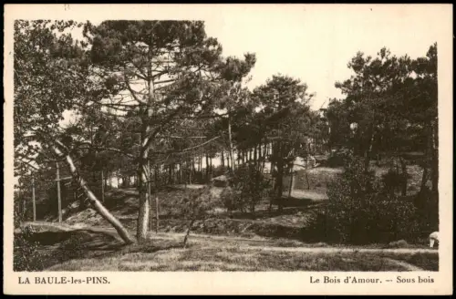 CPA La Baule-Escoublac Le Bois d'Amour. - Sous bois 1928