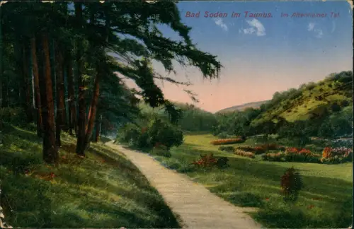 Ansichtskarte Bad Soden am Taunus Im Altenhainer Tal. 1922