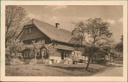 CPA Morteau Haus Restauration Baumblüte 1919