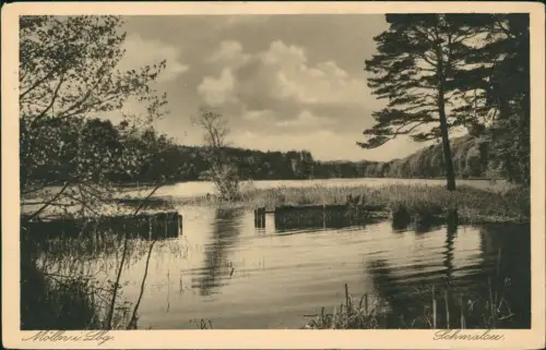 Ansichtskarte Mölln (Schleswig-Holstein) Schmalau 1923