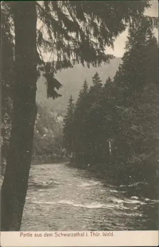 Ansichtskarte .Thüringen Partie aus dem Schwarzathal i. Thüringer Wald. 1912