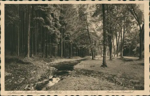 Ansichtskarte Finsterbergen-Friedrichroda Partie im Leinatal 1929