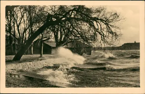 Ansichtskarte Waren (Müritz) Sturmwetter auf der Müritz 1961