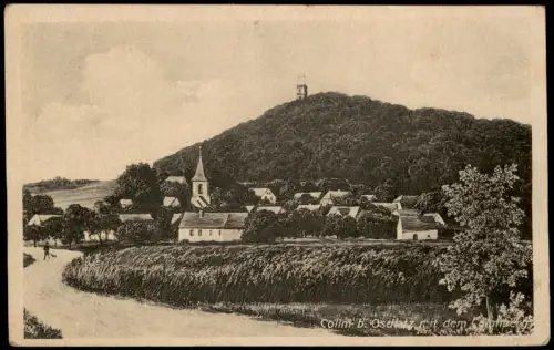 Ansichtskarte Collm Wermsdorf Ortsansicht 1920   mit Landpoststempel