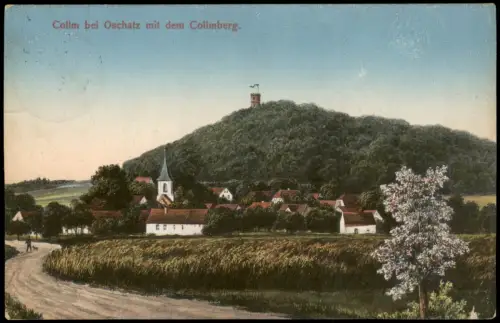 Ansichtskarte Collm-Wermsdorf Ortspartie am Collmberg 1910
