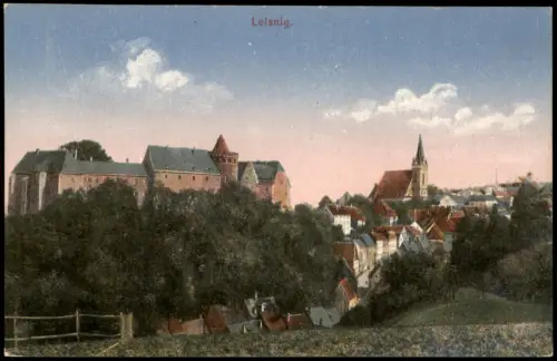 Ansichtskarte Leisnig Ortsansicht Teilansicht mit Burg 1918