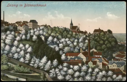 Ansichtskarte Leisnig Ortsansicht im Blütenschmuck Baumblüte Fabrik 1910