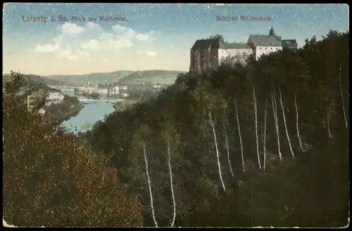 Ansichtskarte Leisnig Blick ins Muldental Schloss Mildenstein 1910