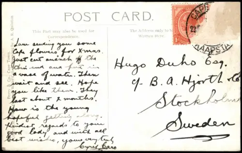 Postcard Kapstadt Kaapstad Houses of Parliament 1912