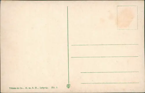 Ansichtskarte Thale (Harz) Bodetal im Harz Roßtrappenfelsen 1910