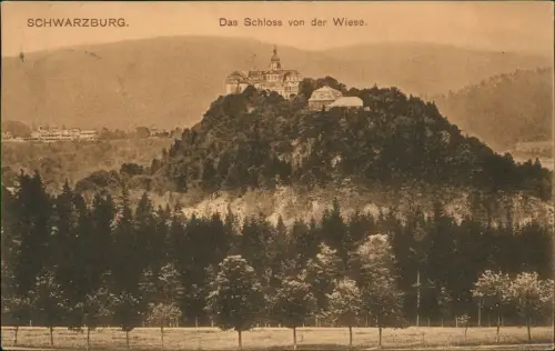 Ansichtskarte Schwarzburg Das Schloss von der Wiese 1906   Ankunftsstempel