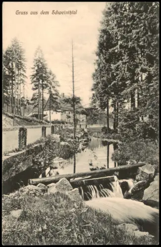 Ansichtskarte Olbernhau Erzgebirge Gruss aus dem Schweinitztal 1910