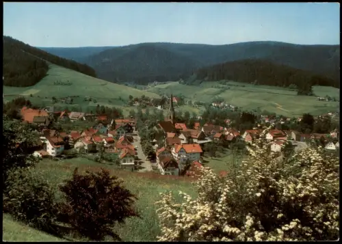 Ansichtskarte Baiersbronn Panorama-Ansicht Gesamtansicht Totalansicht 1979