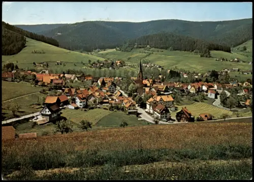 Baiersbronn Panorama-Ansicht aus der Vogelschau-Perspektive 1981