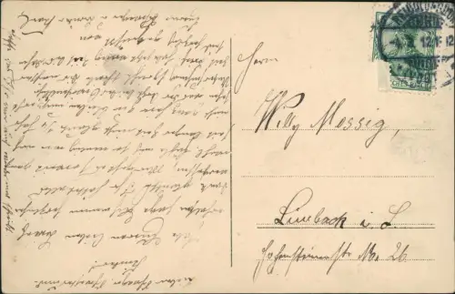 Ansichtskarte Bad Reiboldsgrün (Vogtland) Feine Herrschaften im Wald 1912