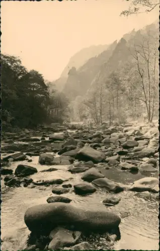 Ansichtskarte Thale (Harz) Umland-Ansicht Blick zu den Sieben Brüdern 1960