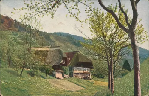 Ansichtskarte .Baden-Württemberg Schwarzwaldhaus  1916  1. Weltkrieg Feldpost