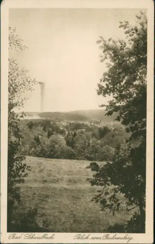 Ansichtskarte Bad Schwalbach Langenschwalbach Blick vom Paulinenberg 1932