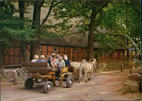 Ansichtskarte .Niedersachsen Kutschen-Fahrt Pferde Lüneburger Heide 1980
