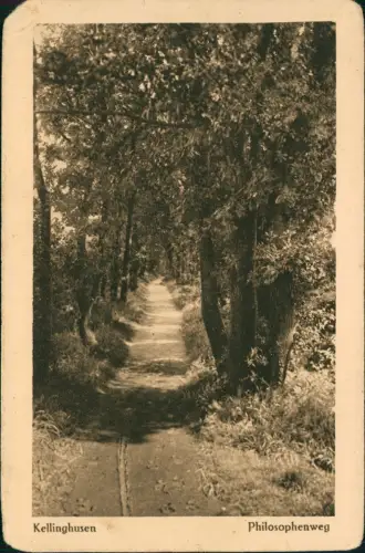 Ansichtskarte Kellinghusen Philosophenweg 1915   1. Weltkrieg Feldpost gelaufen