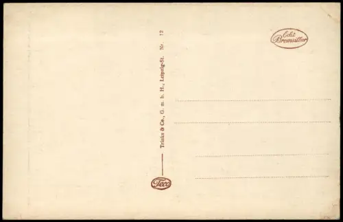 Sachsenhausen Frankfurt am Main Eiserner Steg, Main-Brücke Teilansicht 1920