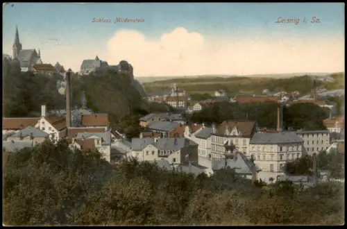 Ansichtskarte Leisnig Panorama  Schloss 1915   1. Weltkrieg Feldpost