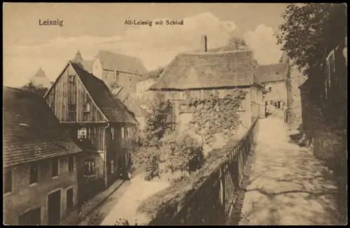 Ansichtskarte Leisnig Ortsansicht Partie Alt-Leisnig mit Schloß 1910