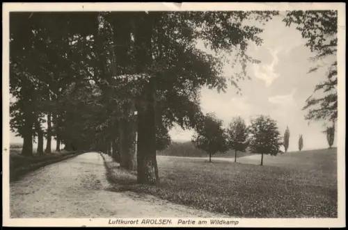 Ansichtskarte Bad Arolsen Umland-Ansicht Partie am Wildkamp Baum Allee 1934