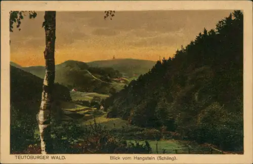 Ansichtskarte Detmold Blick vom Hangstein Schling TEUTOBURGER WALD. 1915