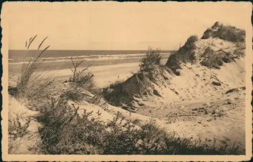 Wenduin-Brügge Brugge | Bruges La dune, ourlet de la mer. Zee en Zand. 1953