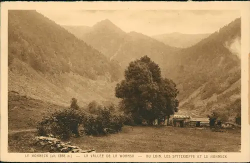 CPA Woll La Bresse AU LOIN, LES SPITZKEPFE ET LE HOHNECK 1928