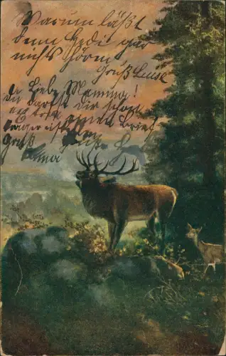 Ansichtskarte  Künstlerkarte Gemälde Kunstwerke H. Barth Hirsch und Reh 1919