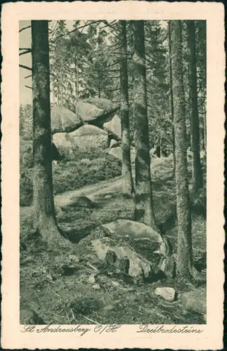 Ansichtskarte Sankt Andreasberg-Braunlage Künstlerkarte Dreibrodesteine 1928