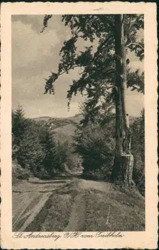 Ansichtskarte Sankt Andreasberg-Braunlage vom Freiholz - Weg 1928