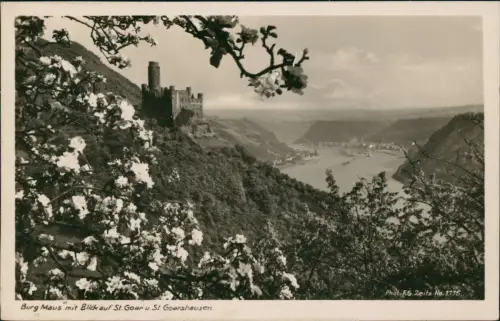 Wellmich-St. Goarshausen Burg Maus Rhein Baumblüte Fotokarte 1933