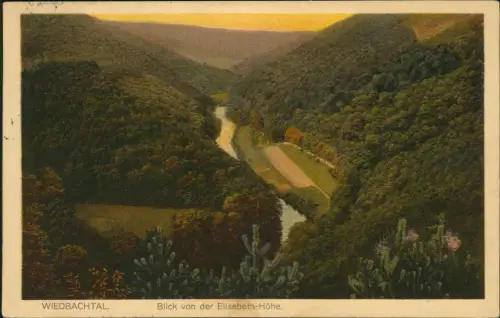Ansichtskarte Neuwied (Rhein) WIEDBACHTAL Blick von der Elisabeth-Höhe. 1915