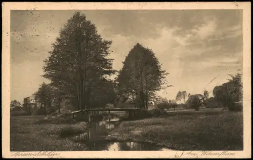Lübbenau Spreewald    Am Wiesenfliess 1927   gelaufen mit Stempel LÜBBENAU
