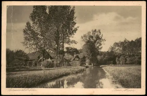 Lübbenau Spreewald Lubnjow Umland-Ansichten Spreewald Partei Im Moor 1927