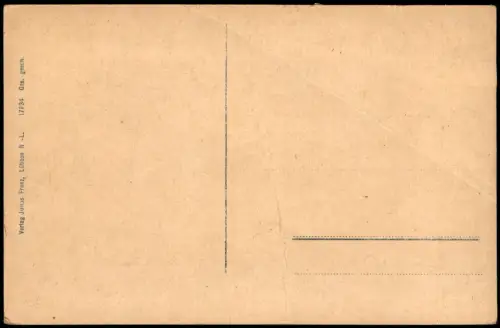 Ansichtskarte Lübben (Spreewald) Lubin (Błota) Schloss und Amtsgericht 1910