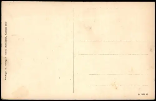 Ansichtskarte Colditz Panorama-Ansicht Blick von Schlobach's Terrasse 1910