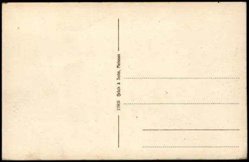 Ansichtskarte Colditz Stadtteilansicht Partie Am Wehr 1914