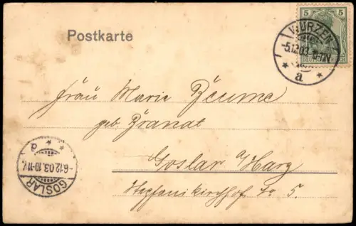 Ansichtskarte Wurzen Teich Weiher Partie im Stadtpark 1903