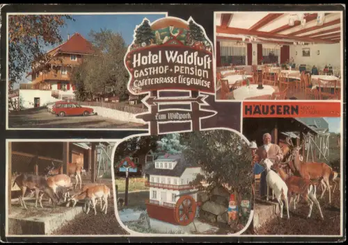 Ansichtskarte Häusern Hotel Waldluft - Mehrbildkarte 1972