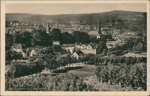 Ansichtskarte Bad Dürkheim Weinberg Stadtpartie 1929